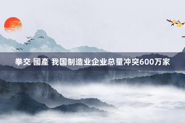 拳交 國產 我国制造业企业总量冲突600万家