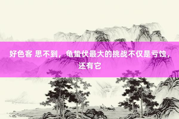 好色客 思不到，龟蛰伏最大的挑战不仅是亏蚀，还有它