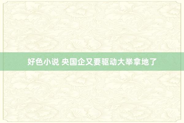 好色小说 央国企又要驱动大举拿地了