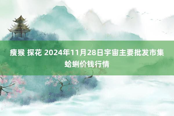 瘦猴 探花 2024年11月28日宇宙主要批发市集蛤蜊价钱行情