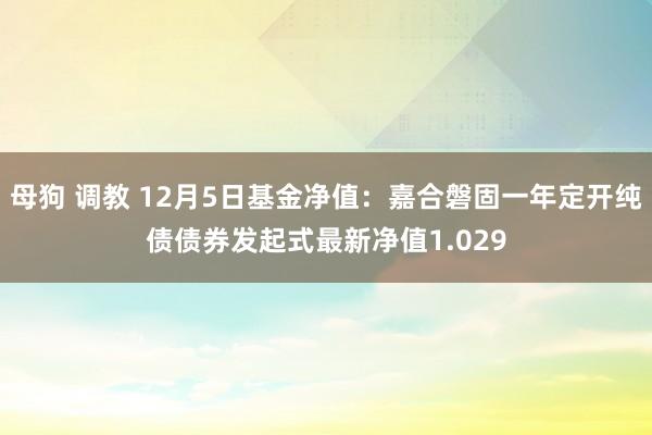 母狗 调教 12月5日基金净值：嘉合磐固一年定开纯债债券发起式最新净值1.029