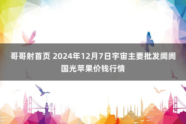 哥哥射首页 2024年12月7日宇宙主要批发阛阓国光苹果价钱行情