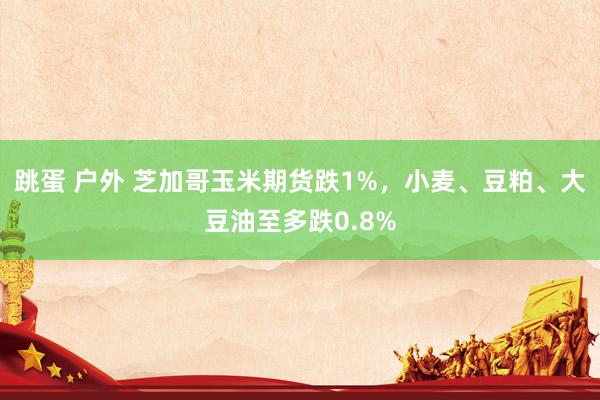 跳蛋 户外 芝加哥玉米期货跌1%，小麦、豆粕、大豆油至多跌0.8%