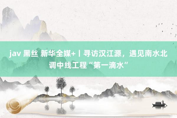 jav 黑丝 新华全媒+丨寻访汉江源，遇见南水北调中线工程“第一滴水”