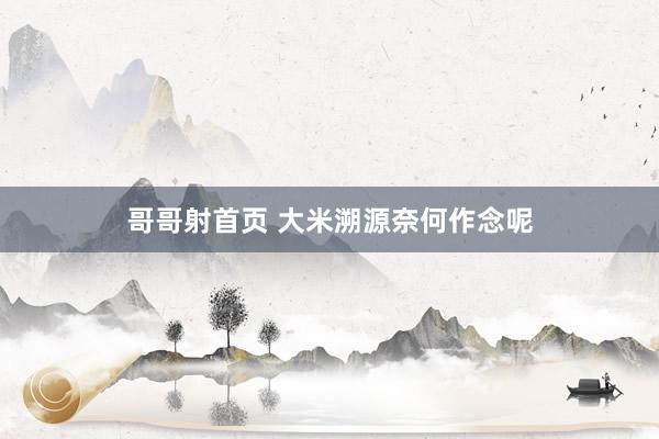 哥哥射首页 大米溯源奈何作念呢