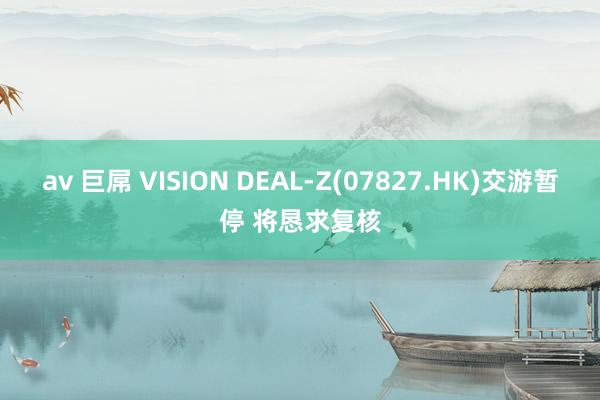 av 巨屌 VISION DEAL-Z(07827.HK)交游暂停 将恳求复核