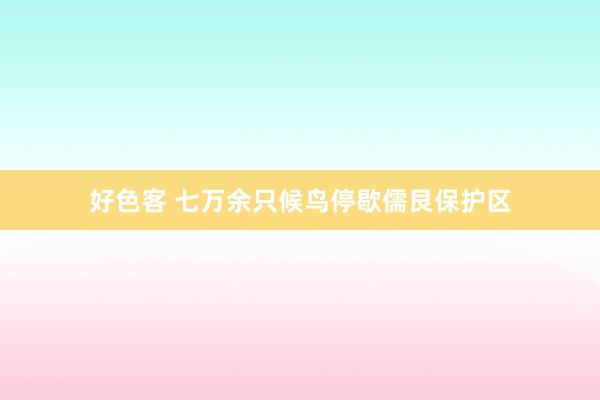 好色客 七万余只候鸟停歇儒艮保护区