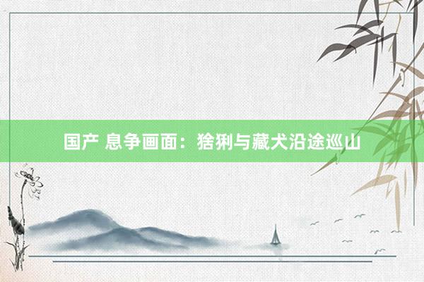 国产 息争画面：猞猁与藏犬沿途巡山