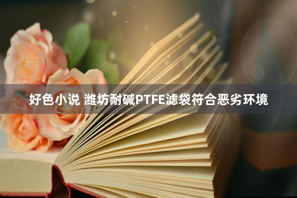 好色小说 潍坊耐碱PTFE滤袋符合恶劣环境