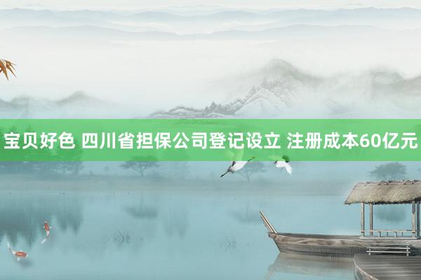 宝贝好色 四川省担保公司登记设立 注册成本60亿元