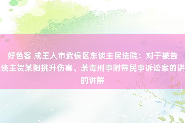 好色客 成王人市武侯区东谈主民法院：对于被告东谈主贺某阳挑升伤害、荼毒刑事附带民事诉讼案的讲解
