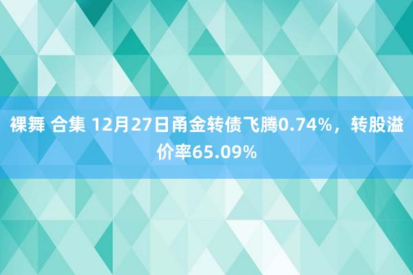 裸舞 合集 12月27日甬金转债飞腾0.74%，转股溢价率65.09%
