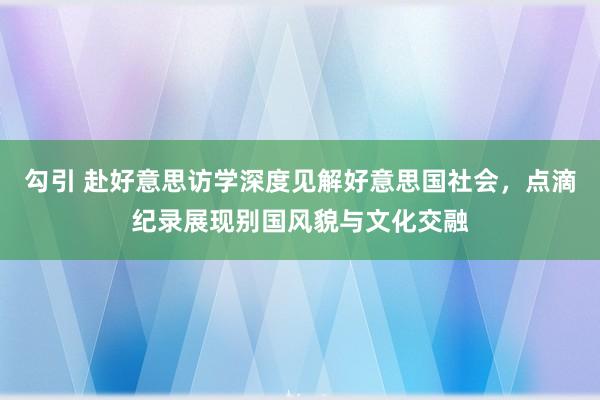 勾引 赴好意思访学深度见解好意思国社会，点滴纪录展现别国风貌与文化交融