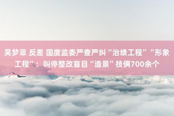吴梦菲 反差 国度监委严查严纠“治绩工程”“形象工程”：叫停整改盲目“造景”技俩700余个