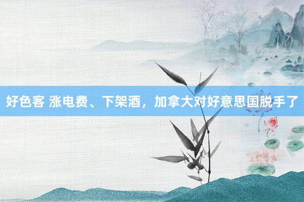 好色客 涨电费、下架酒，加拿大对好意思国脱手了
