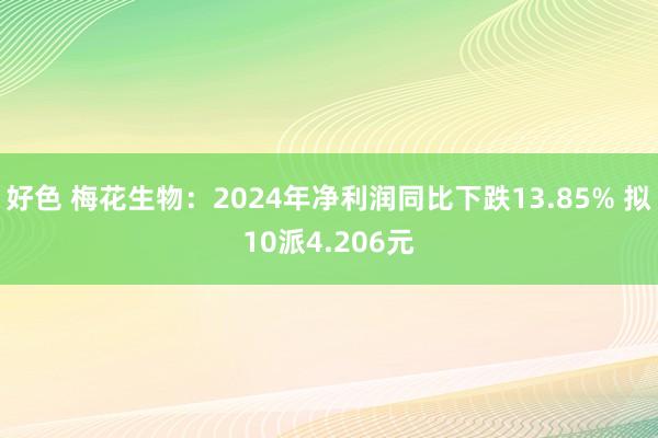 好色 梅花生物：2024年净利润同比下跌13.85% 拟10派4.206元