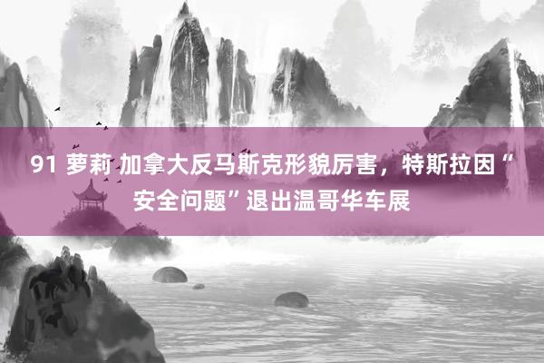 91 萝莉 加拿大反马斯克形貌厉害，特斯拉因“安全问题”退出温哥华车展