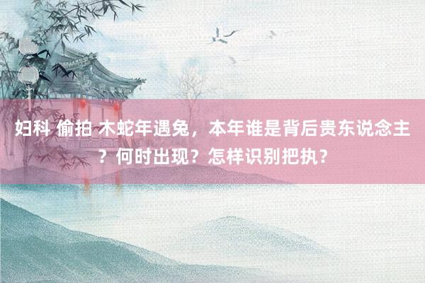 妇科 偷拍 木蛇年遇兔，本年谁是背后贵东说念主？何时出现？怎样识别把执？