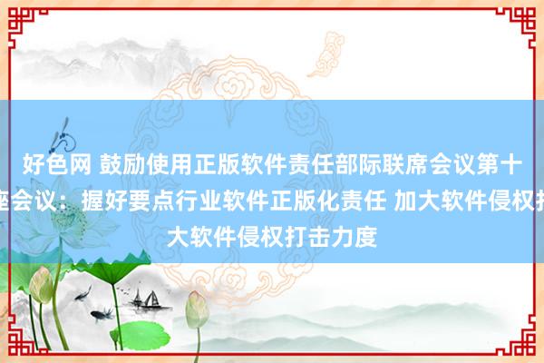 好色网 鼓励使用正版软件责任部际联席会议第十四次合座会议：握好要点行业软件正版化责任 加大软件侵权打击力度