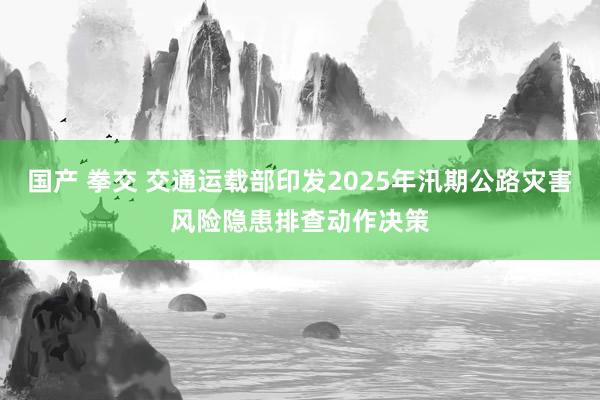 国产 拳交 交通运载部印发2025年汛期公路灾害风险隐患排查动作决策