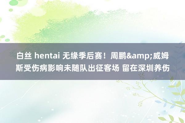 白丝 hentai 无缘季后赛！周鹏&威姆斯受伤病影响未随队出征客场 留在深圳养伤