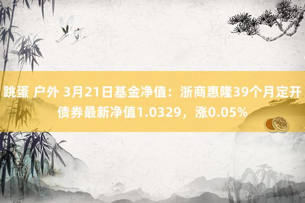 跳蛋 户外 3月21日基金净值：浙商惠隆39个月定开债券最新净值1.0329，涨0.05%