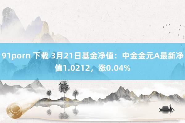 91porn 下载 3月21日基金净值：中金金元A最新净值1.0212，涨0.04%