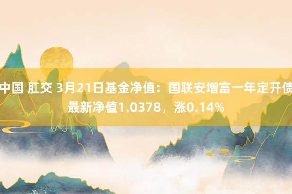 中国 肛交 3月21日基金净值：国联安增富一年定开债最新净值1.0378，涨0.14%
