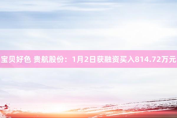 宝贝好色 贵航股份：1月2日获融资买入814.72万元