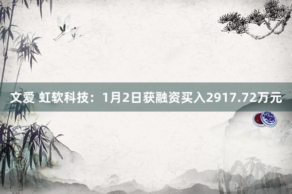 文爱 虹软科技：1月2日获融资买入2917.72万元