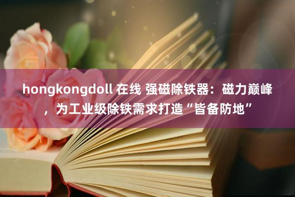 hongkongdoll 在线 强磁除铁器：磁力巅峰，为工业级除铁需求打造“皆备防地”