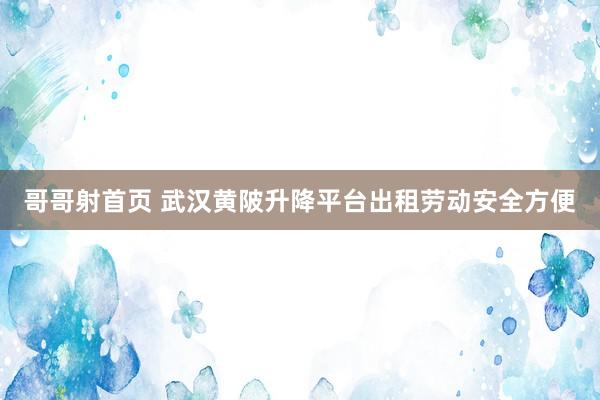 哥哥射首页 武汉黄陂升降平台出租劳动安全方便