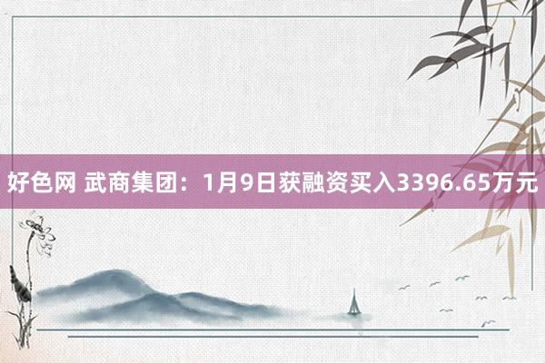 好色网 武商集团：1月9日获融资买入3396.65万元