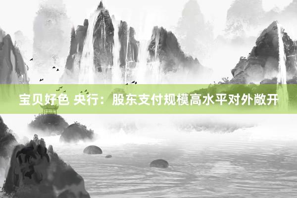 宝贝好色 央行：股东支付规模高水平对外敞开
