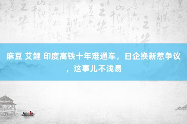 麻豆 艾鲤 印度高铁十年难通车，日企换新惹争议，这事儿不浅易