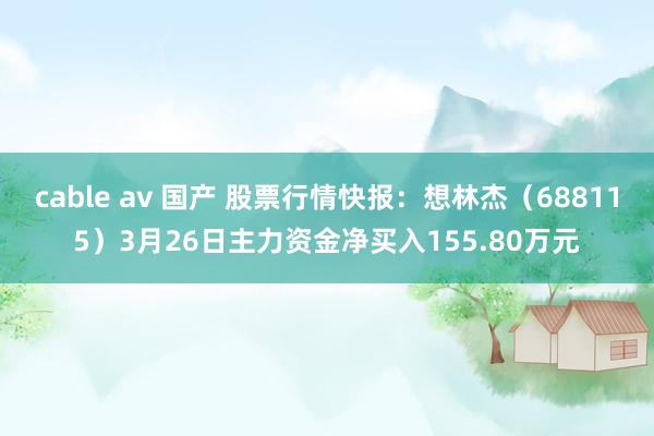 cable av 国产 股票行情快报：想林杰（688115）3月26日主力资金净买入155.80万元