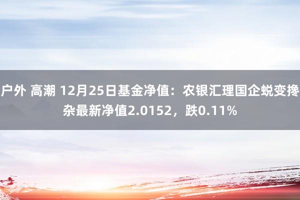 户外 高潮 12月25日基金净值：农银汇理国企蜕变搀杂最新净值2.0152，跌0.11%