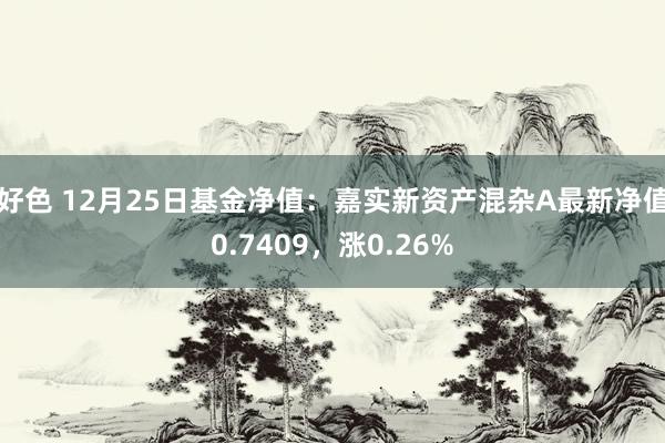 好色 12月25日基金净值：嘉实新资产混杂A最新净值0.7409，涨0.26%
