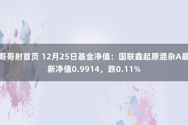 哥哥射首页 12月25日基金净值：国联鑫起原混杂A最新净值0.9914，跌0.11%