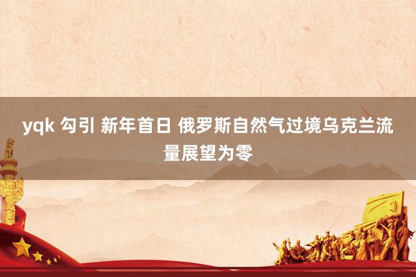 yqk 勾引 新年首日 俄罗斯自然气过境乌克兰流量展望为零