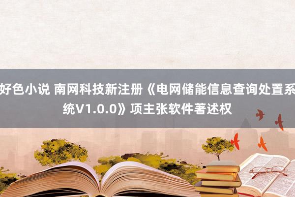 好色小说 南网科技新注册《电网储能信息查询处置系统V1.0.0》项主张软件著述权