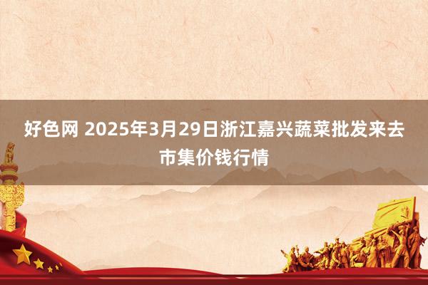 好色网 2025年3月29日浙江嘉兴蔬菜批发来去市集价钱行情