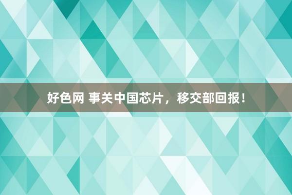 好色网 事关中国芯片，移交部回报！