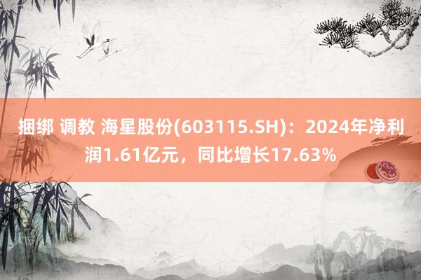 捆绑 调教 海星股份(603115.SH)：2024年净利润1.61亿元，同比增长17.63%