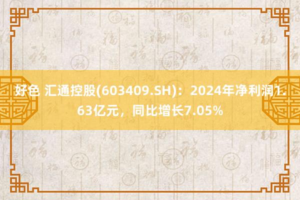 好色 汇通控股(603409.SH)：2024年净利润1.63亿元，同比增长7.05%