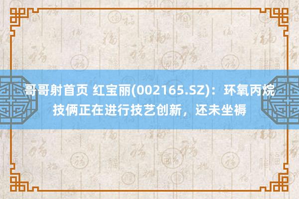 哥哥射首页 红宝丽(002165.SZ)：环氧丙烷技俩正在进行技艺创新，还未坐褥