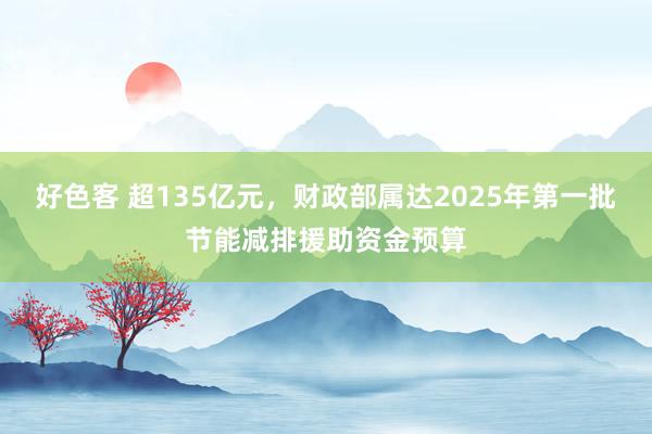 好色客 超135亿元，财政部属达2025年第一批节能减排援助资金预算
