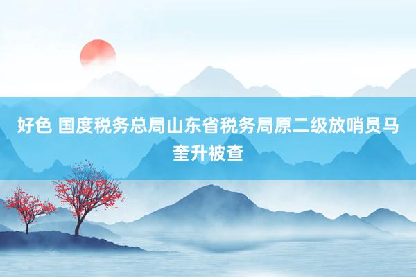 好色 国度税务总局山东省税务局原二级放哨员马奎升被查