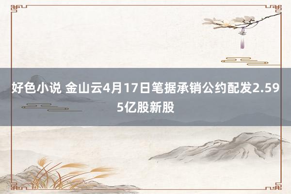 好色小说 金山云4月17日笔据承销公约配发2.595亿股新股