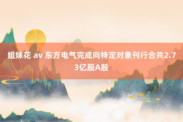姐妹花 av 东方电气完成向特定对象刊行合共2.73亿股A股
